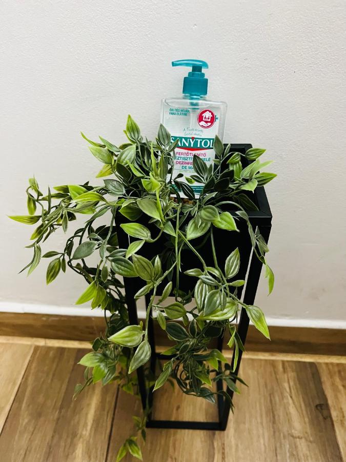 Altheda Living Tineretului E8 Apartman Szucsáva Kültér fotó